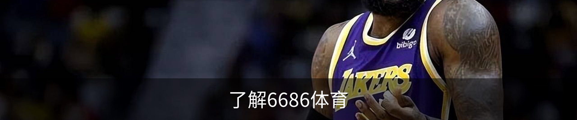 了解6686体育
